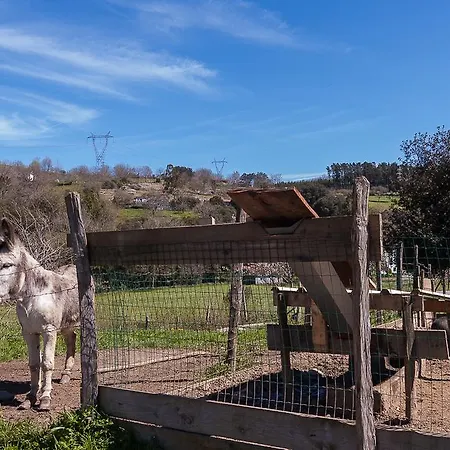 منزل ريفي Restaurante Aranburu زستوا